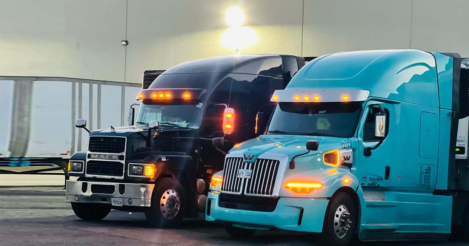 Modern reefer trucks for cargo delivery