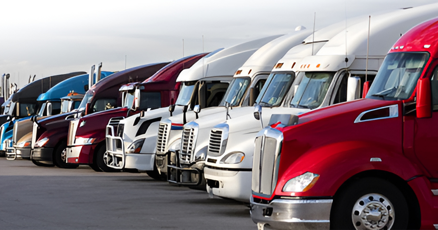 Logistics team coordinating transport services